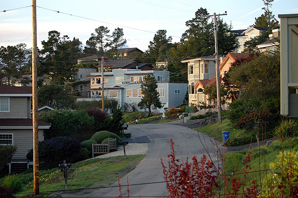 Cambria February 2011 029.JPG
